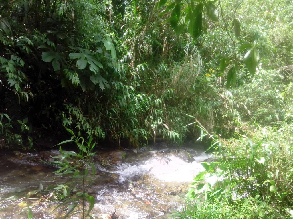 巴尼奥斯 皇家水疗旅馆旅舍 外观 照片
