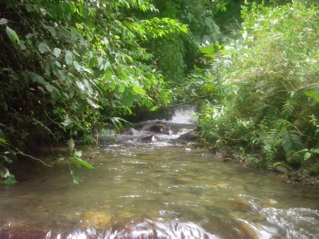 巴尼奥斯 皇家水疗旅馆旅舍 外观 照片