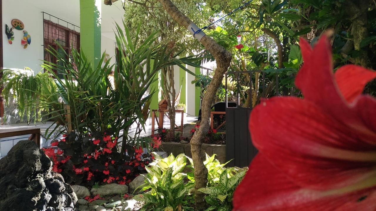 巴尼奥斯 皇家水疗旅馆旅舍 外观 照片